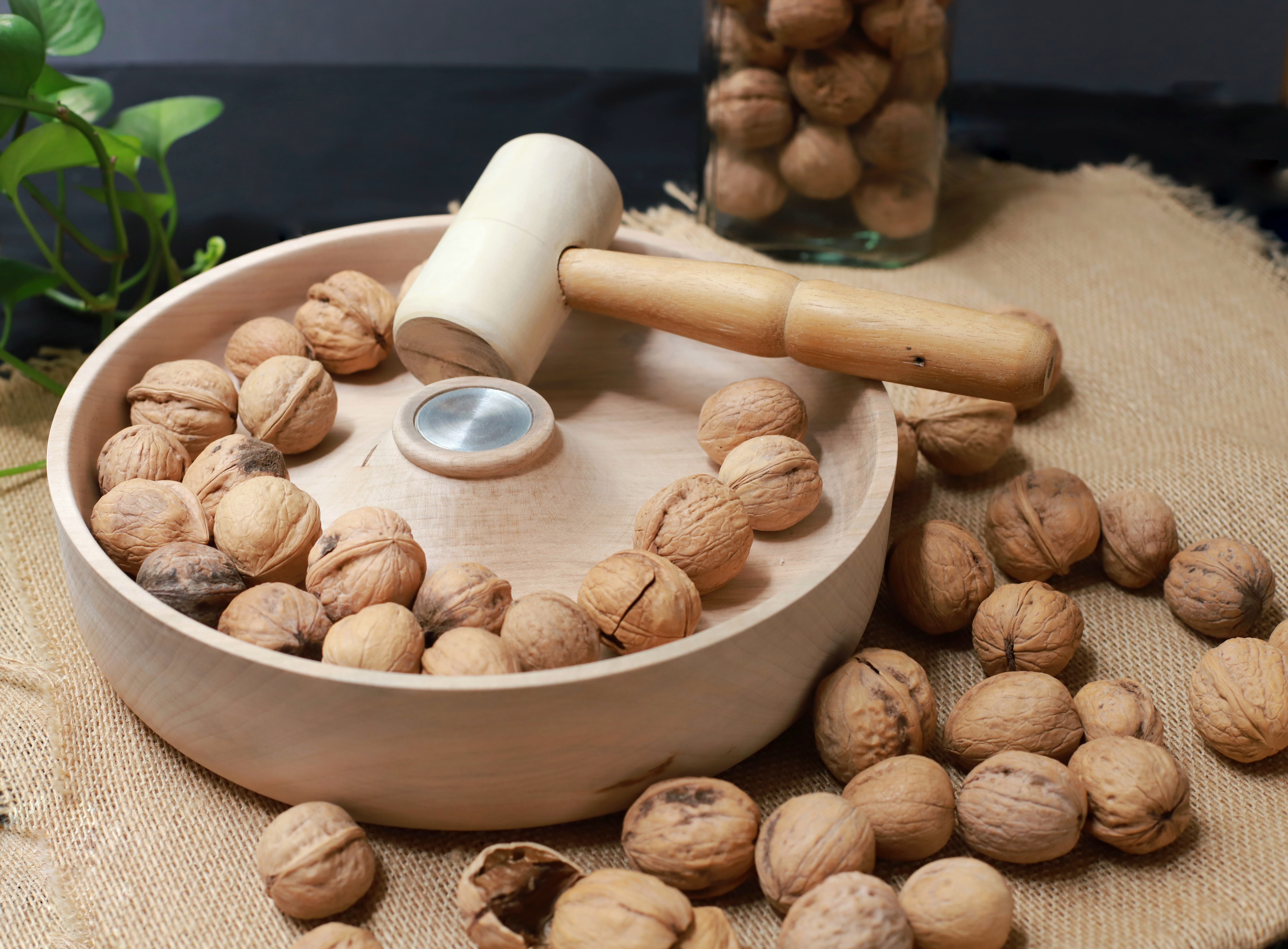 ظروف کاربردی